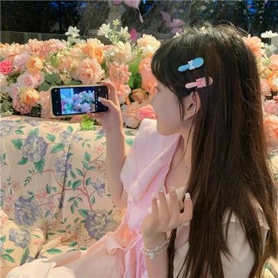 斑马头